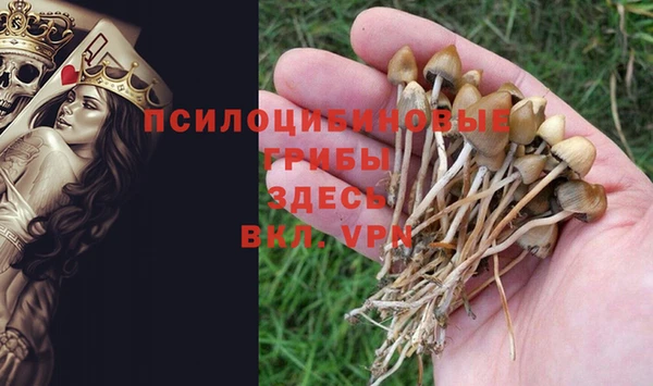 PSILOCYBIN Богородск