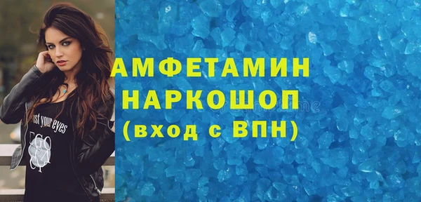 индика Иннополис